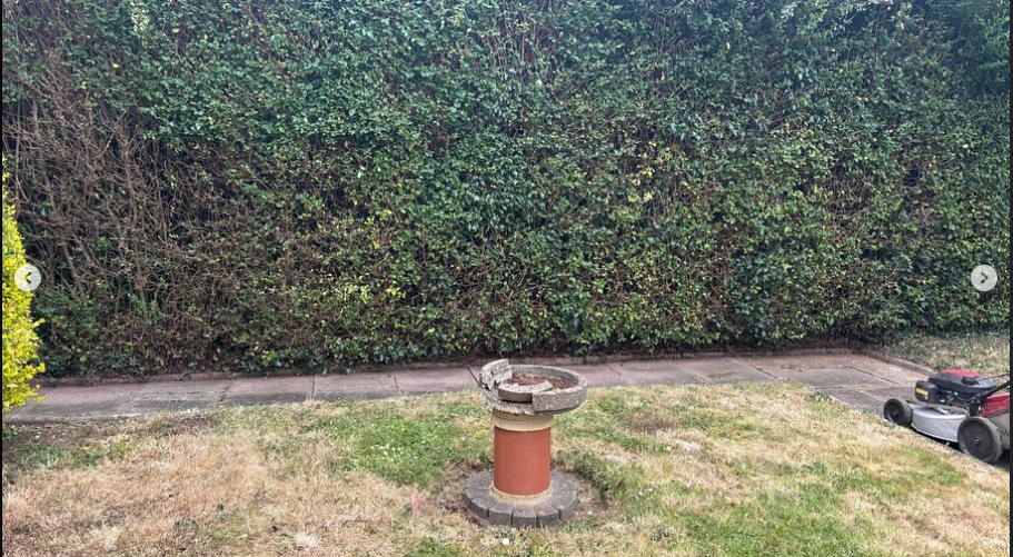 Screenshot 2025-07-12 182840 hedge trimmed and lawn mowed